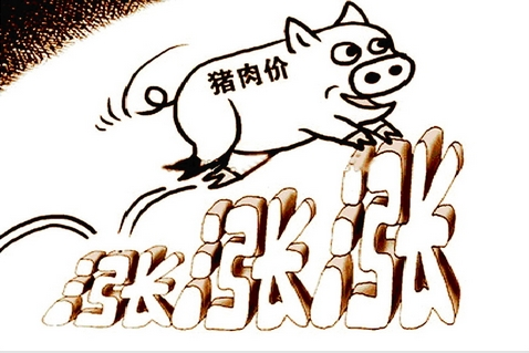 月薪2萬(wàn)招聘養(yǎng)豬,豬在2019年豬真的飛天啦！